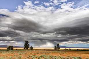 Honey Lake-5706.jpg Honey Lake-5706.jpg
